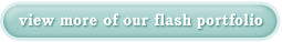 Flash Web Design Portfolio