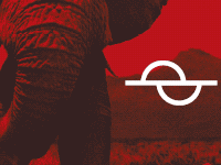 Gavin Schneider Productions