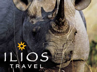Ilios